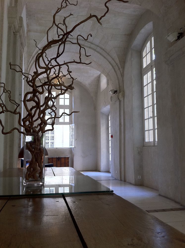 Hotel Cloitre Saint Louis Avignon Bagian luar foto